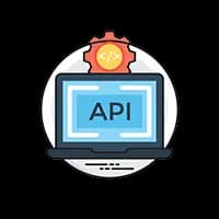 Custom API Integration Image 