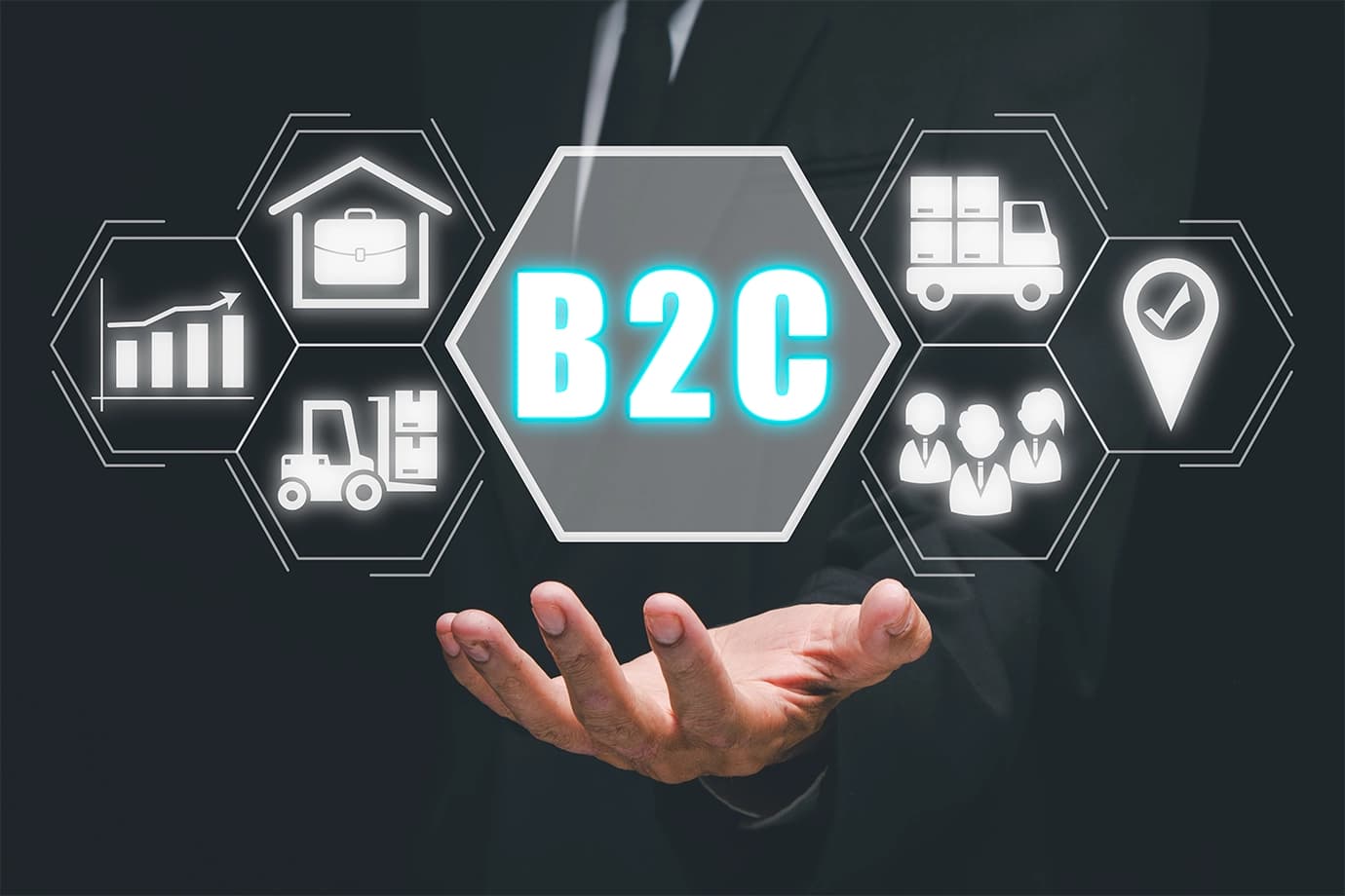 b2c-portal-development Image