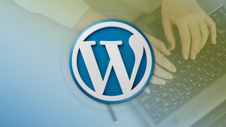 Plugin-development-services Image